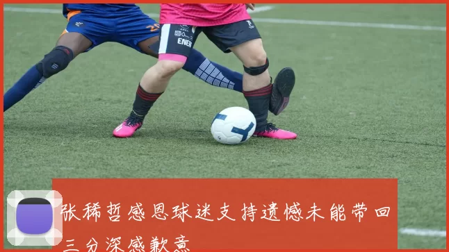 张稀哲感恩球迷支持遗憾未能带回三分深感歉意