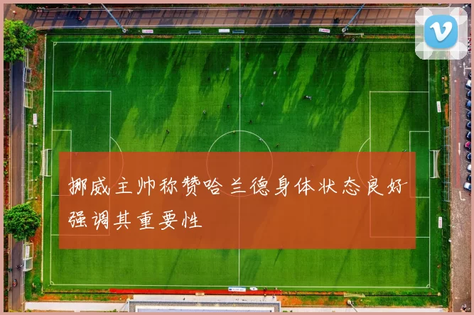 挪威主帅称赞哈兰德身体状态良好强调其重要性